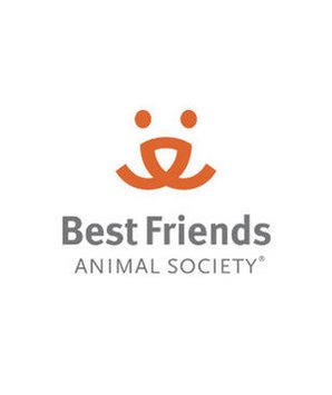 Animal Society