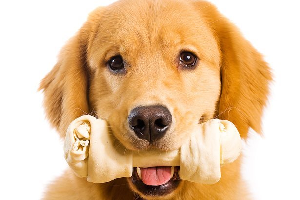 Wholesome Hide Rolls