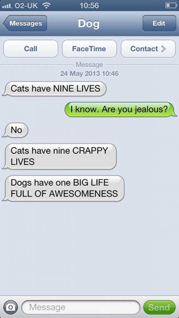 Dog life