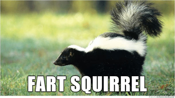 Fart Squirrel