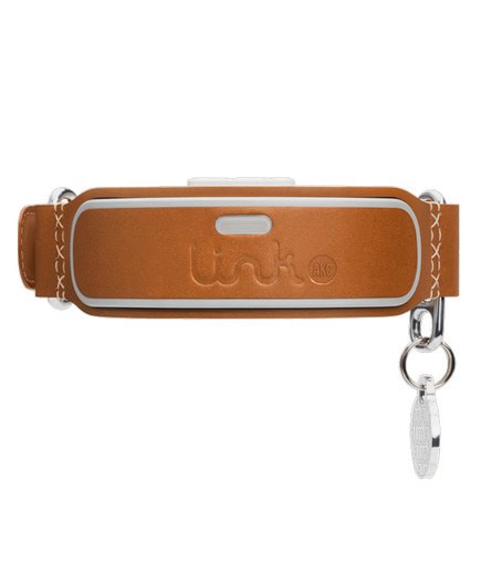 Leather Dog Tracker Collar