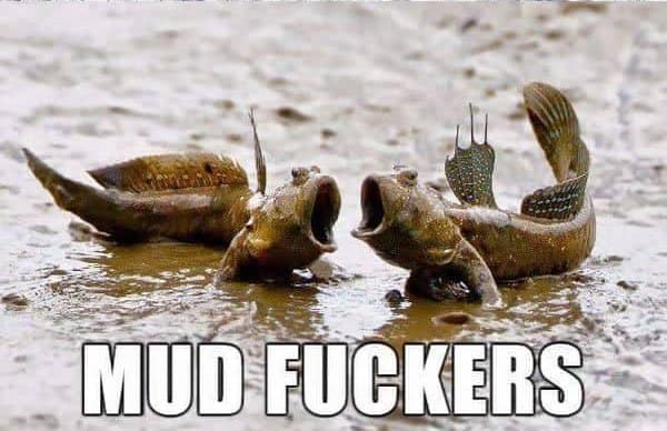 Mud forkers