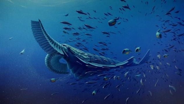 Tamisiocaris Borealis