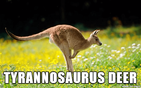 Tyrannosaurus Deer