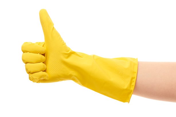 Cleaning pet hairs