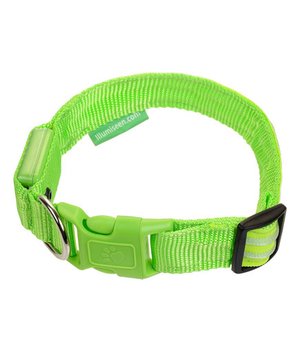 Flash light Collar