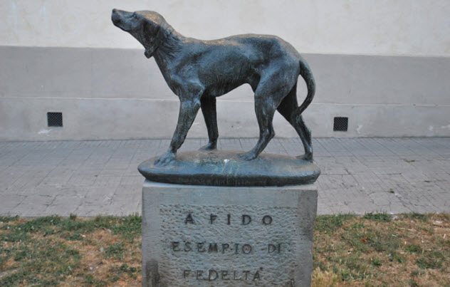 Fido