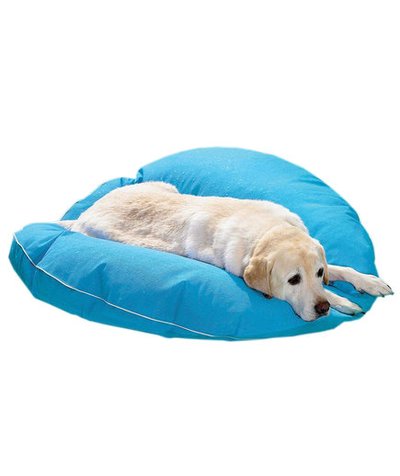 Dog Pool Float and Lounger