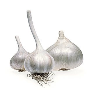 Garlic and Onions 