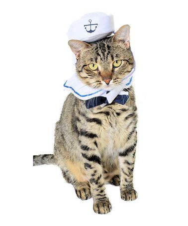 Sailor Costume