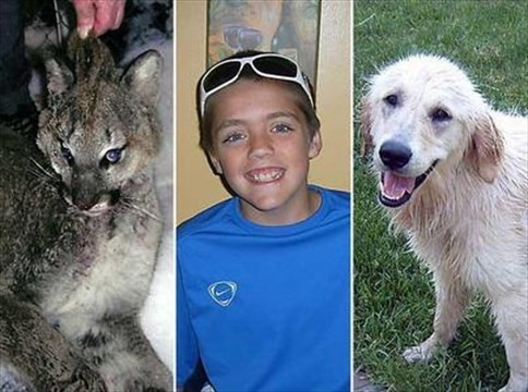 Cases of Animals Saving Humans from Certain Death