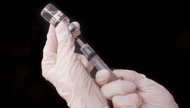 Birth Control Shots For Male Reindeer