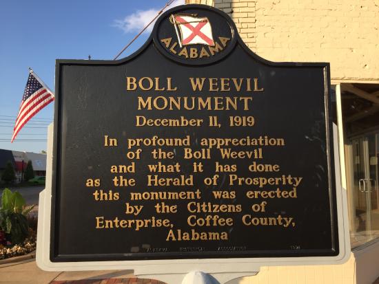 Boll Weevil Monument