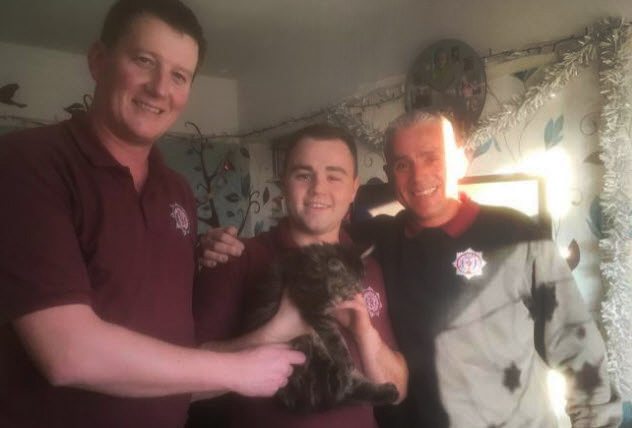 Outrageous Stories of Cats’ Lives Saved In Strange Ways