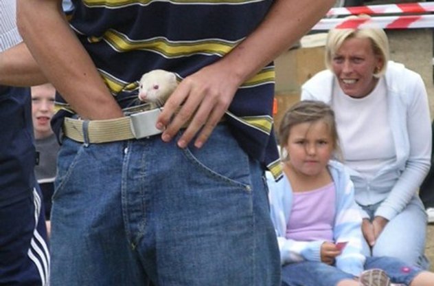 Ferret-Legging
