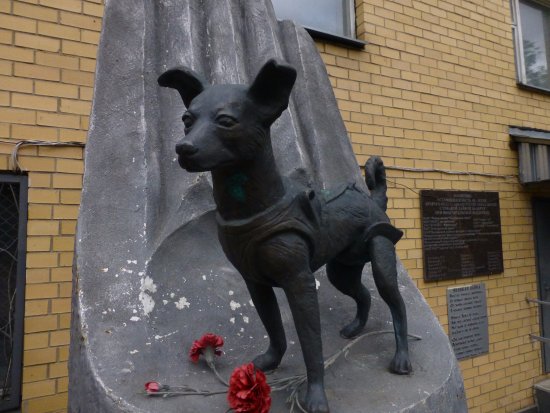 Laika Monument