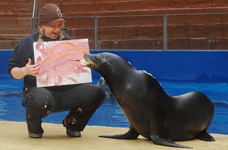 painting Sea Lion