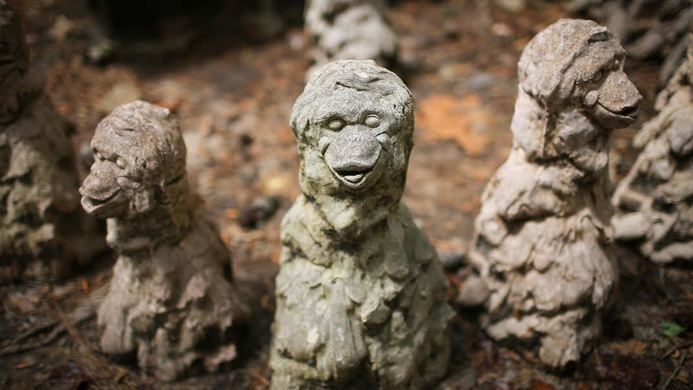 Monkey Massacre Memorial