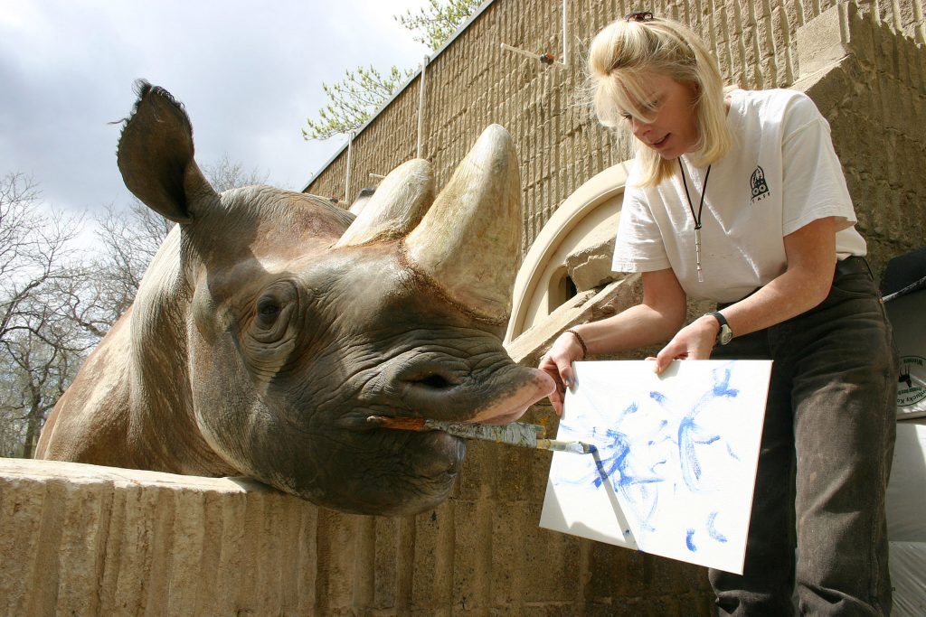 Painting Rhino