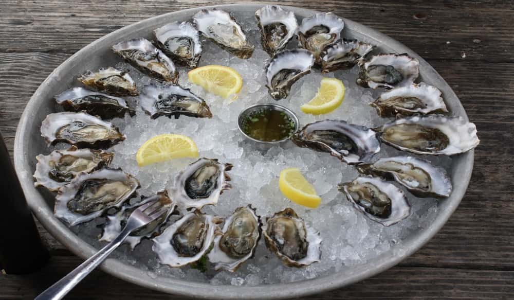 Oysters