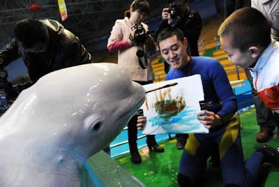 Painting Beluga Whales
