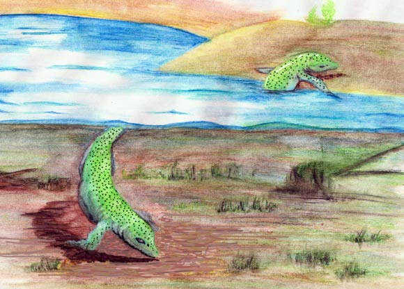 Incredible Animal Facts