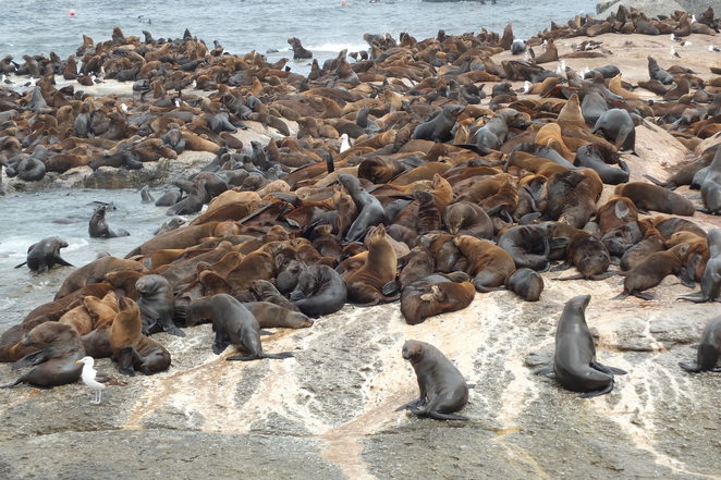 Seals