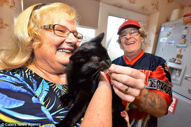 Outrageous Stories of Cats’ Lives Saved In Strange Ways