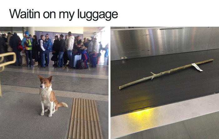 luggage