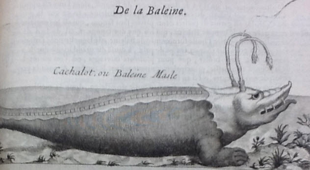 Strange Things People Used To Believe About Animals