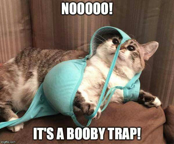 booby trap