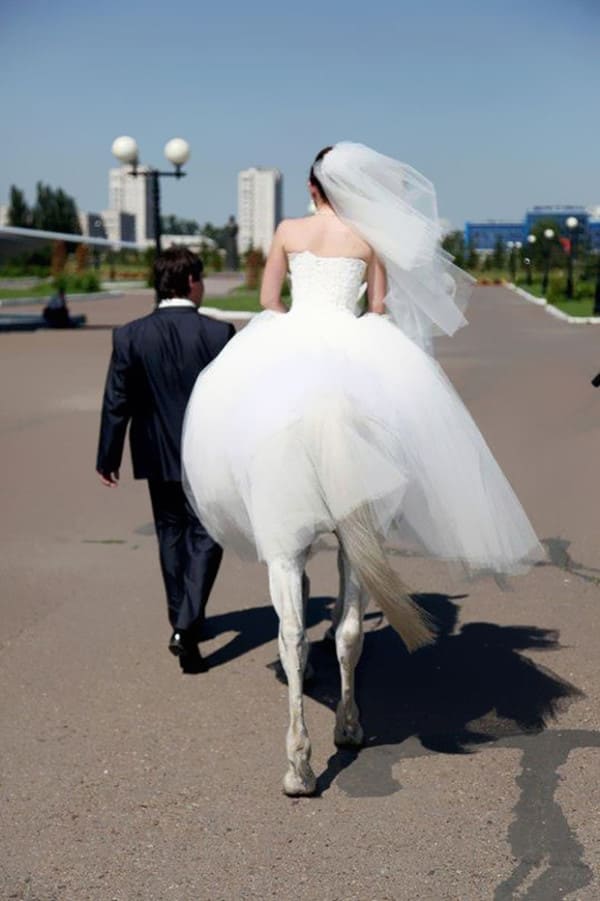 Horse Bride