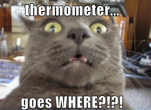 thermometer