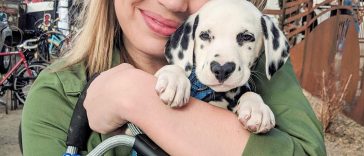 Meet Wiley, the Dalmatian Puppy with A Heart-Shape Nose