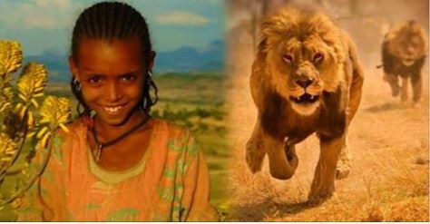Lions