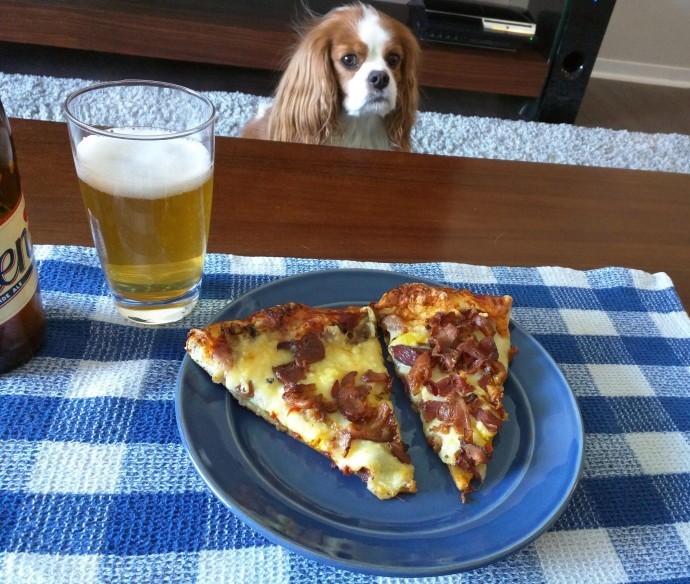 Cute Animals That Are Obsessed With Your Food