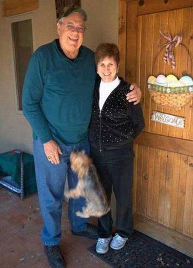 Hilarious Times When Pets Ruined Family Photos