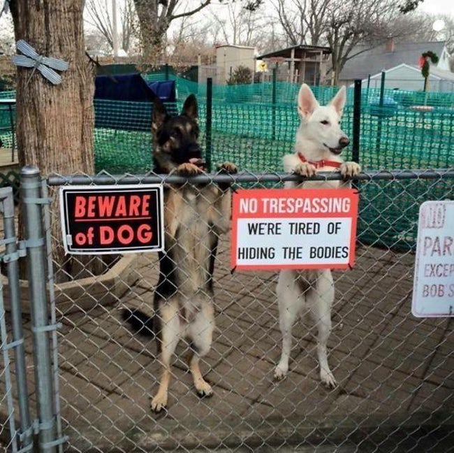 Hilarious Dog Warning Signs That Will Scare Any Intruder