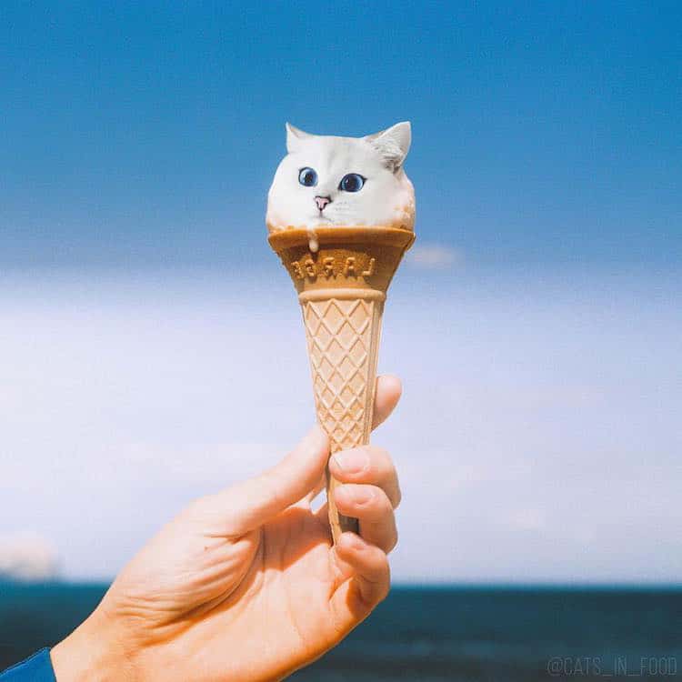 Russian Artist Photoshops Cats Into Food, and the Results Are Pu