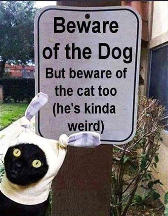 Hilarious Dog Warning Signs That Will Scare Any Intruder
