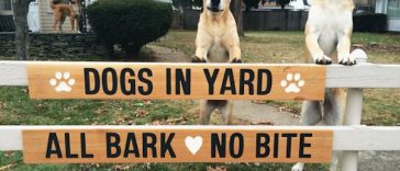 Hilarious Dog Warning Signs That Will Scare Any Intruder