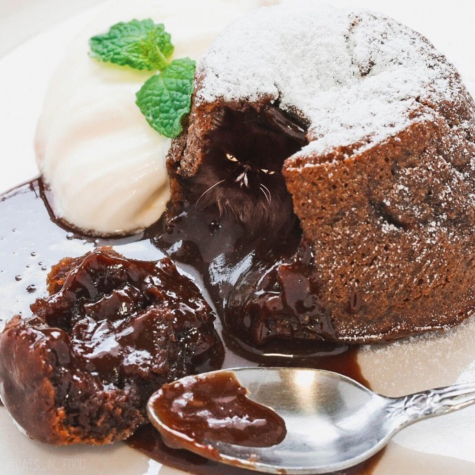 Russian Artist Photoshops Cats Into Food, and the Results Are Pu