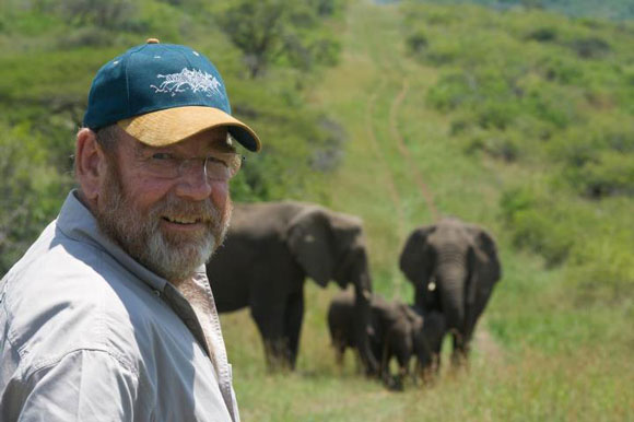 Elephants