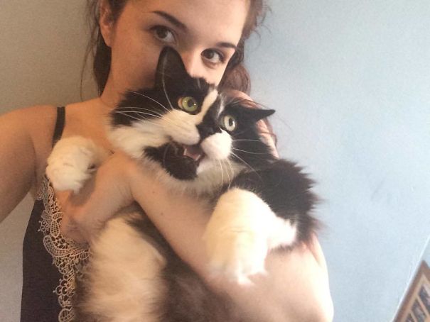Times When Cats Didn’t Want To Be In Your Boring Selfies