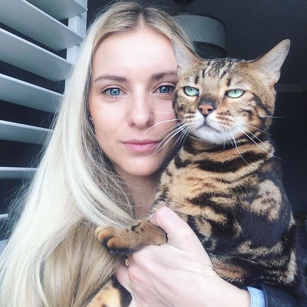 Times When Cats Didn’t Want To Be In Your Boring Selfies
