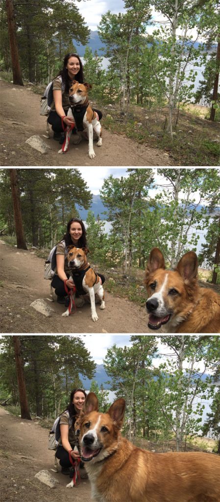 Hilarious Times When Pets Ruined Family Photos