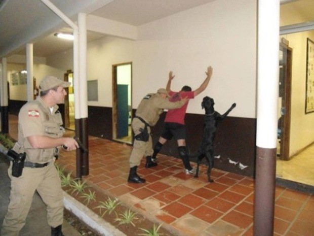 WTF dog photos that make no sense at all