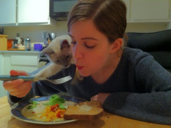 Cute Animals That Are Obsessed With Your Food