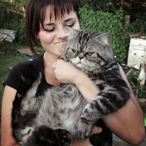 Times When Cats Didn’t Want To Be In Your Boring Selfies