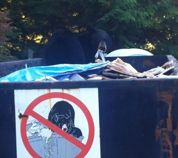 Badass Animals Who Don’t Care About Your Stupid Rules